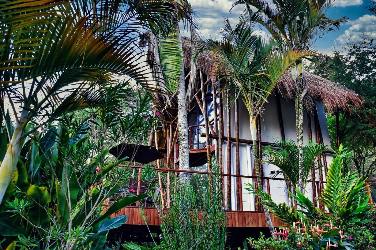 Ibuku Hotel Guatape - Chalets Eksteriør billede