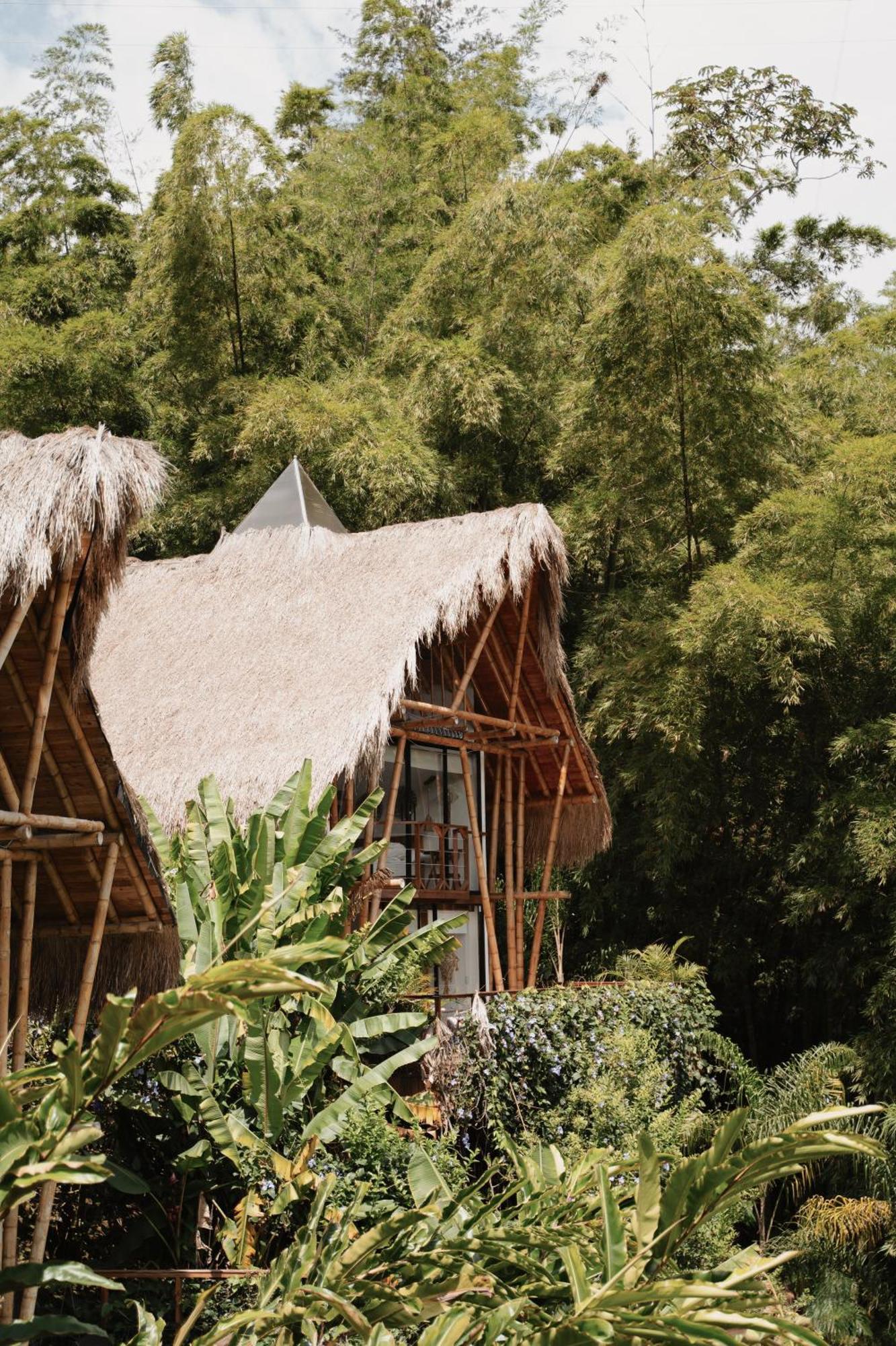 Ibuku Hotel Guatape - Chalets Eksteriør billede